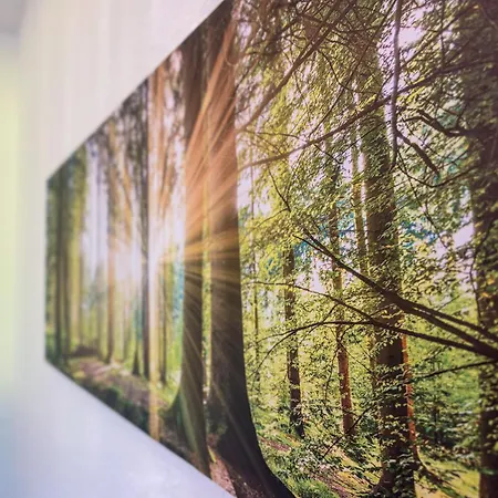 Naturzeit Appartement Winterberg